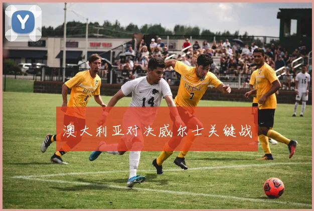 澳大利亚对决威尔士关键战