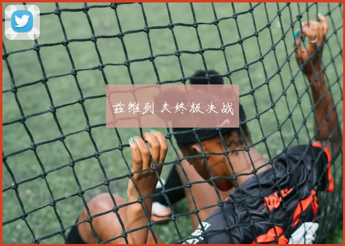 兹维列夫终极决战