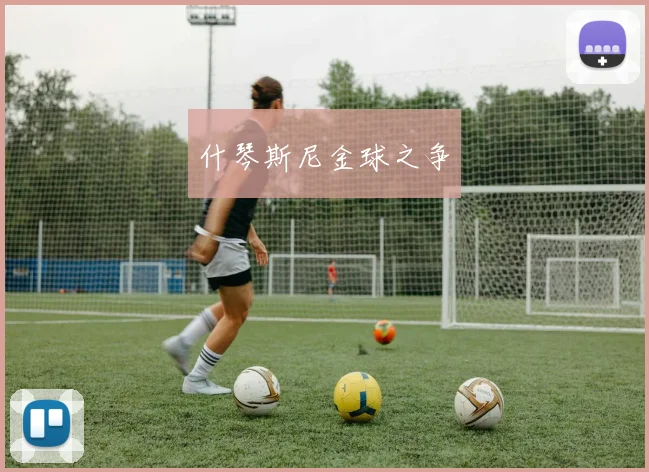 什琴斯尼金球之争
