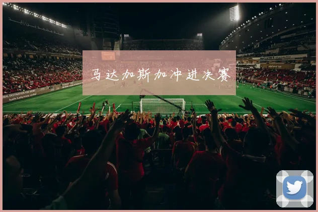 马达加斯加冲进决赛