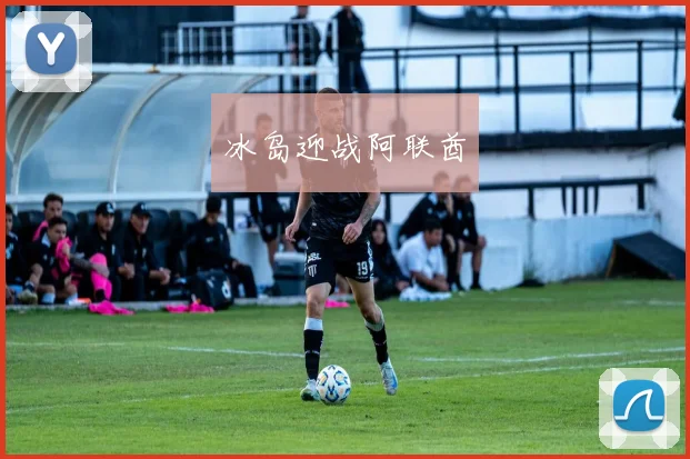 冰岛迎战阿联酋