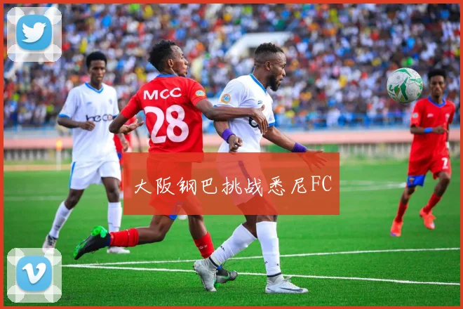 大阪钢巴挑战悉尼FC
