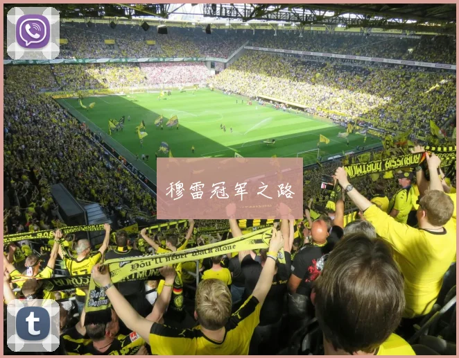 穆雷冠军之路