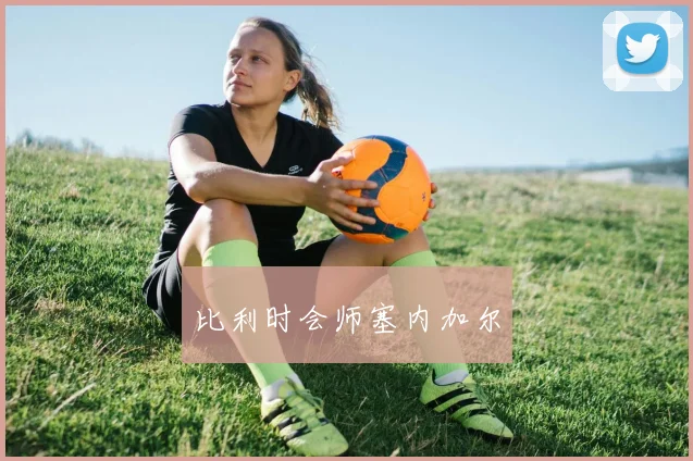 比利时会师塞内加尔