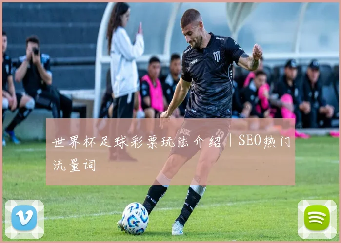 世界杯足球彩票玩法介绍｜SEO热门流量词