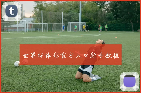 世界杯体彩官方入口新手教程