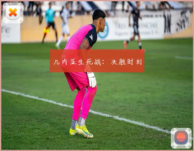 几内亚生死战：决胜时刻