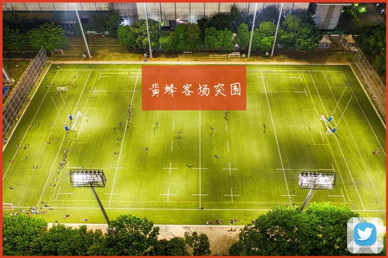 黄蜂客场突围