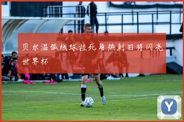 贝尔温弧线球挂死角热刺旧将闪亮世界杯