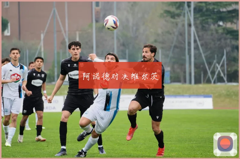 阿诺德对决维尔茨