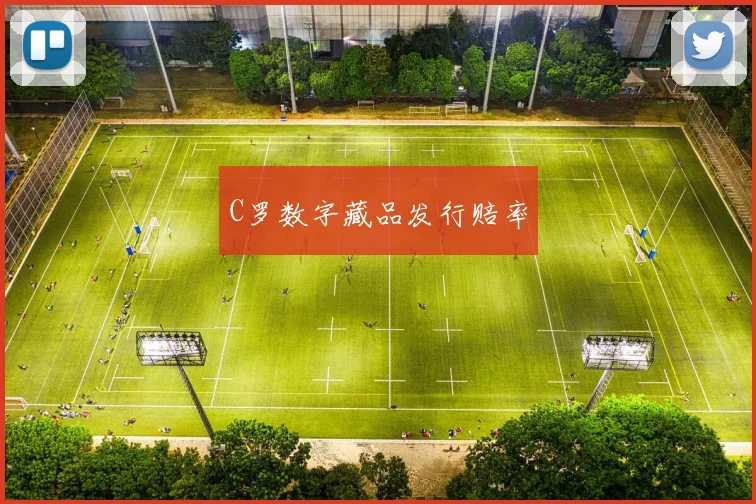 C罗数字藏品发行赔率
