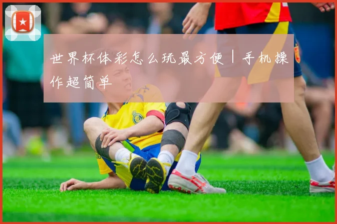 世界杯体彩怎么玩最方便｜手机操作超简单