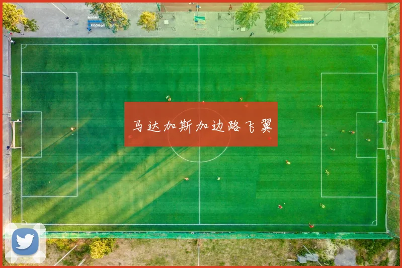 马达加斯加边路飞翼