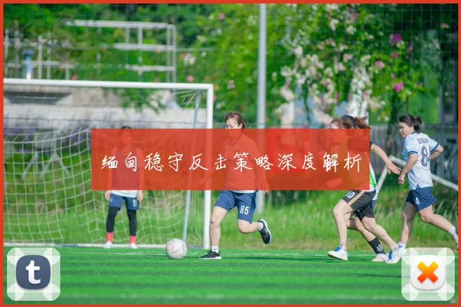 缅甸稳守反击策略深度解析