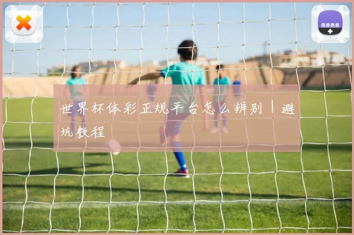 世界杯体彩正规平台怎么辨别｜避坑教程