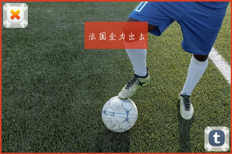法国全力出击