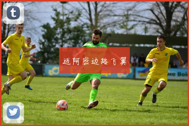 迈阿密边路飞翼