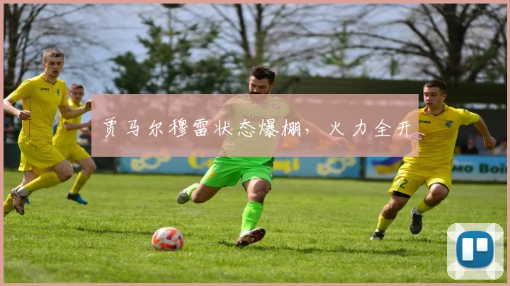 贾马尔穆雷状态爆棚，火力全开